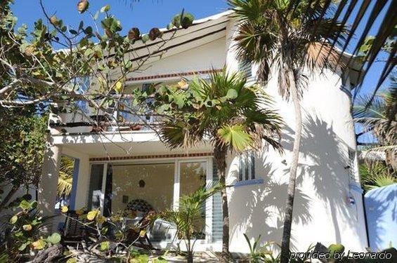 Las Ranitas Eco Boutique Hotel Tulum Esterno foto