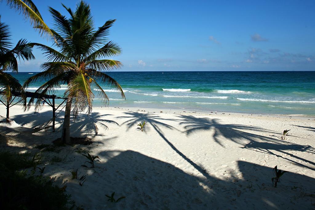 Las Ranitas Eco Boutique Hotel Tulum Esterno foto
